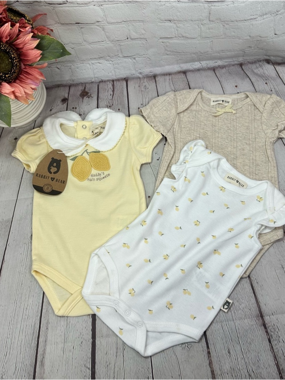 NWT Rabbit & Bear 3pc bodysuit 3-6M lemon cottagecore coquette summer sweetness